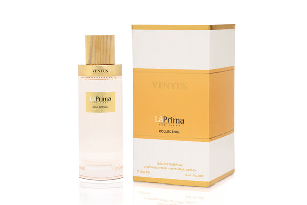 VENTUS  EDP 100 ML